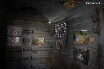 train-delivery-bucuresti-2013-gara-de-nord-05