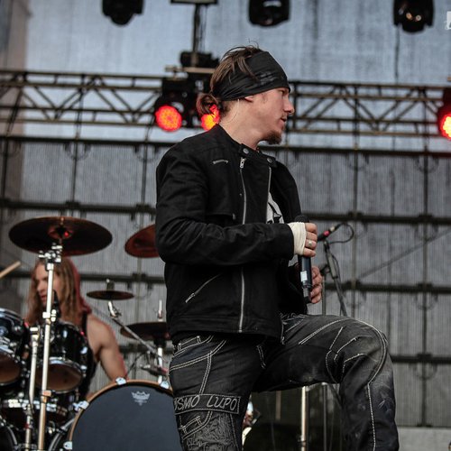 1-amaranth-artmania-festival-2013-06