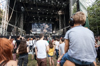 2-eugene-mcguinness-summer-well-2013-11