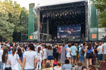 2-eugene-mcguinness-summer-well-2013-16