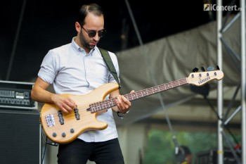 2-eugene-mcguinness-summer-well-2013-3