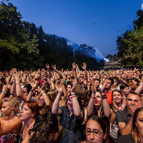 4-the-vaccines-summer-well-2013-13