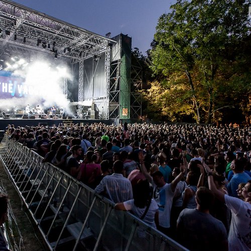 4-the-vaccines-summer-well-2013-15