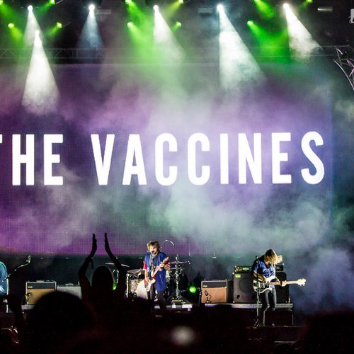 4-the-vaccines-summer-well-2013-16
