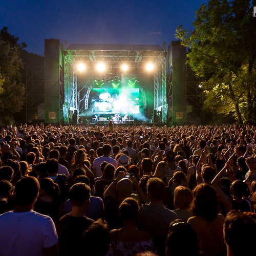 4-the-vaccines-summer-well-2013-17