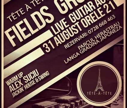 fields-groove-tete-a-tete-bucuresti
