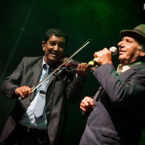 1-taraf-de-haidouks-balkanik-festival-2013-03