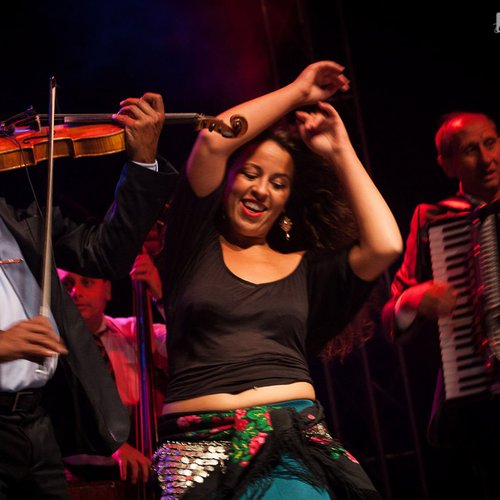 1-taraf-de-haidouks-balkanik-festival-2013-06