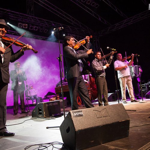 1-taraf-de-haidouks-balkanik-festival-2013-25
