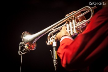 2-fanfare-ciocarlia-balkanik-festival-2013-bucuresti-08