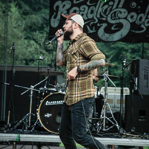 2-roadkillsoda-rockstadt-extreme-fest-2013-14