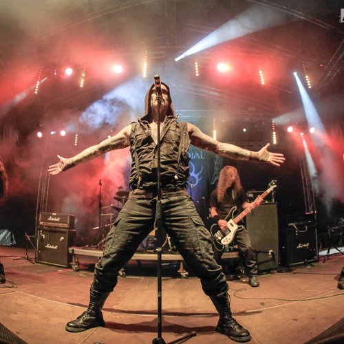 5-primordial-rockstadt-extreme-fest-2013-11