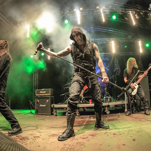 5-primordial-rockstadt-extreme-fest-2013-20