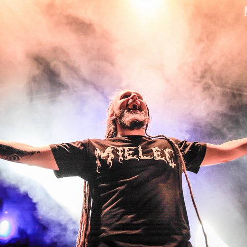 6-decapitated-rockstadt-extreme-fest-2013-06