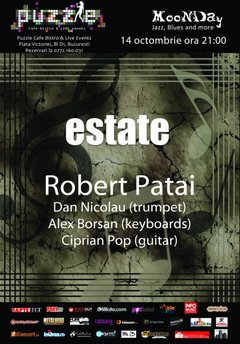 concert-estate-by-robert-patai-club-puzzle-bucuresti