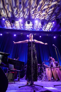 pink-martini-bucuresti-2013-sala-palatului-20