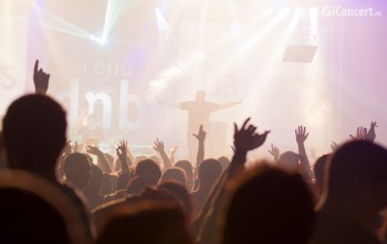3-sub-focus-mc-id-arena-dnb-2013-bucuresti-18
