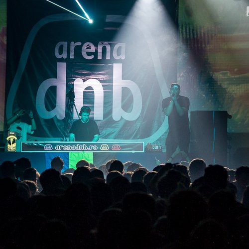 3-sub-focus-mc-id-arena-dnb-2013-bucuresti-20
