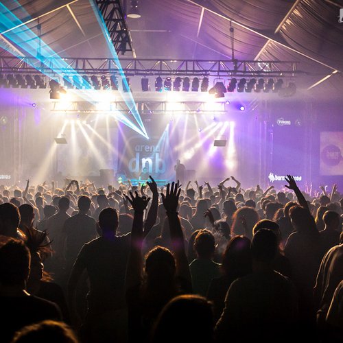 3-sub-focus-mc-id-arena-dnb-2013-bucuresti-22