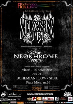concerte-syn-ze-sase-tri-neokhrome-bohemian-flow-art-pub-sibiu