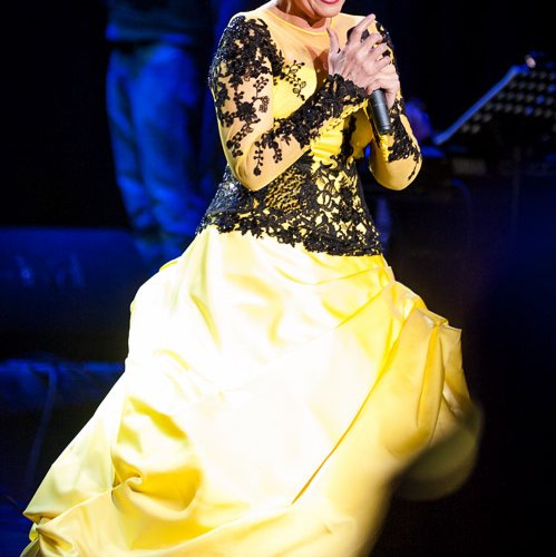 felicia-filip-fata-din-vis-teatrul-national-bucuresti-02