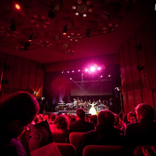 felicia-filip-fata-din-vis-teatrul-national-bucuresti-26
