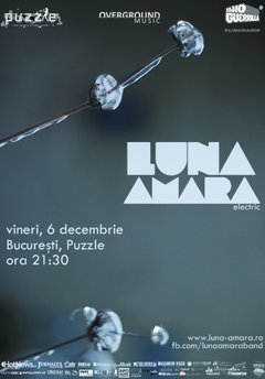 concert-electric-luna-amara-club-puzzle-bucuresti