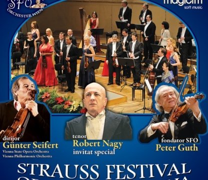 afis-vienna-classic-christmas-2013-turneu
