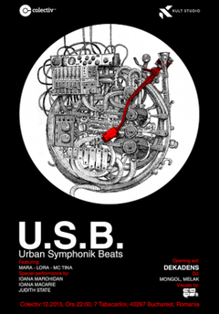 lansare-album-usb-sensor-colectiv-bucuresti