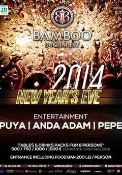 revelion-2014-club-bamboo-bucuresti