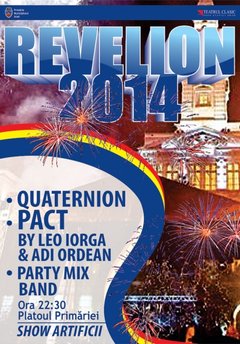 revelion_2014_arad_platou_primarie