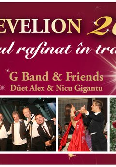 revelion_2014_rin_airport_hotel