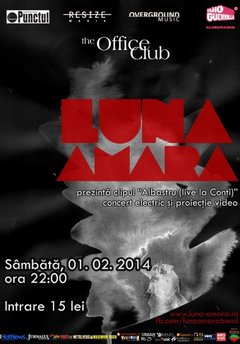 Luna amara office 1 feb web