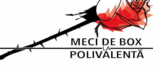 Meci de Box Voltaj