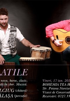 concert-maxim-belciug-gabriel-balasa-bohemia-tea-house-bucuresti