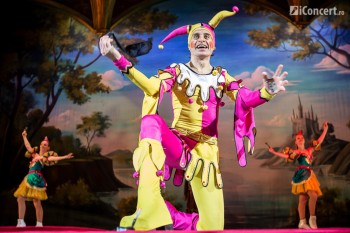 lacul-lebedelor-pe-gheata-sala-palatului-2014-bucuresti-32