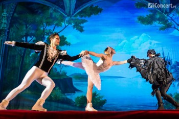 lacul-lebedelor-pe-gheata-sala-palatului-2014-bucuresti-43