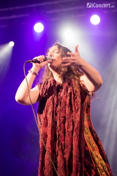 dulce-pontes-sala-palatului-bucuresti-2014-12