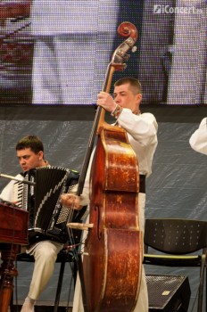 constantin-enceanu-sala-palatului-bucuresti-2014-01