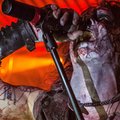 Watain-Bucuresti-Colectiv