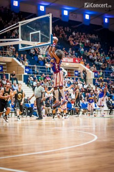 harlem-globetrotters-sala-polivalenta-bucuresti-2014-36