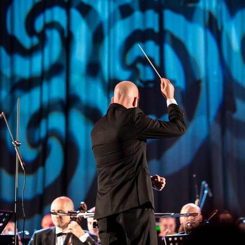 pe-aripile-muzicii-orchestra-simfonica-bucuresti-sala-palatului-13