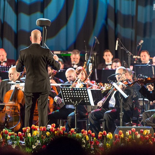 pe-aripile-muzicii-orchestra-simfonica-bucuresti-sala-palatului-14
