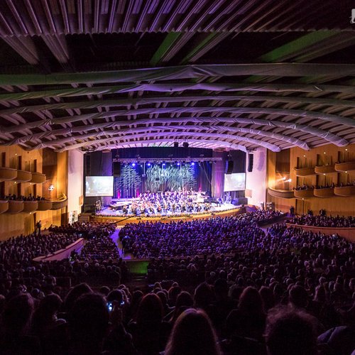 pe-aripile-muzicii-orchestra-simfonica-bucuresti-sala-palatului-17