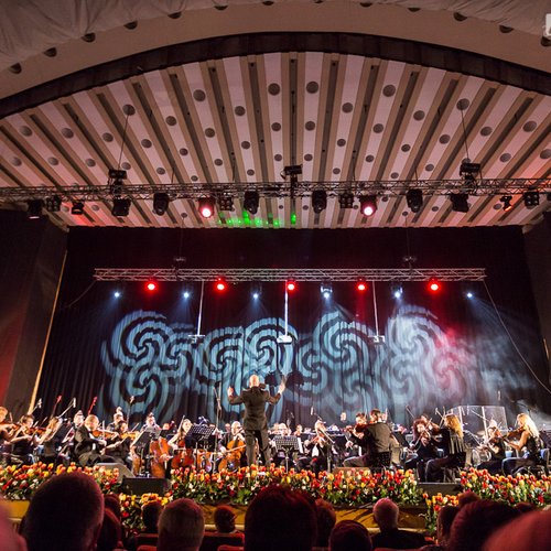 pe-aripile-muzicii-orchestra-simfonica-bucuresti-sala-palatului-23