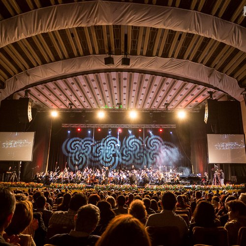pe-aripile-muzicii-orchestra-simfonica-bucuresti-sala-palatului-24