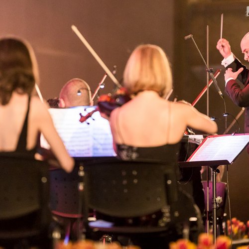 pe-aripile-muzicii-orchestra-simfonica-bucuresti-sala-palatului-31