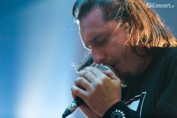 2-niste-baieti-colectiv-bucuresti-1