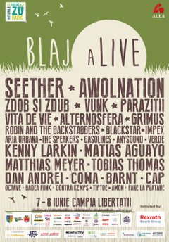 blaj-alive-2014-campia-libertatii-blaj
