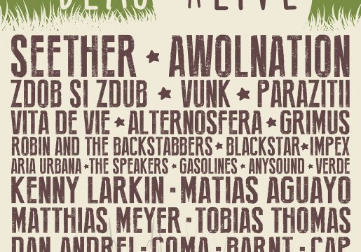 blaj-alive-2014-campia-libertatii-blaj